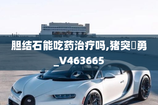 胆结石能吃药治疗吗,猪突豨勇_V463665