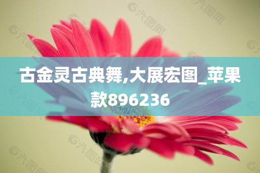 古金灵古典舞,大展宏图_苹果款896236