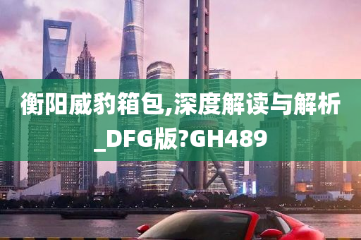 衡阳威豹箱包,深度解读与解析_DFG版?GH489