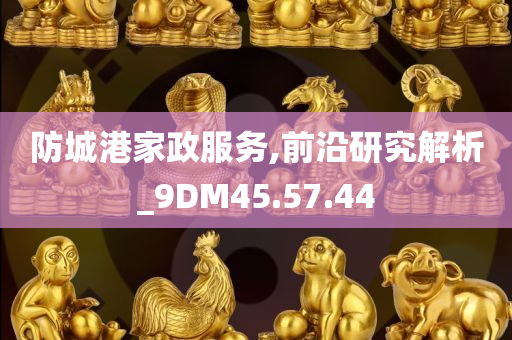 防城港家政服务,前沿研究解析_9DM45.57.44