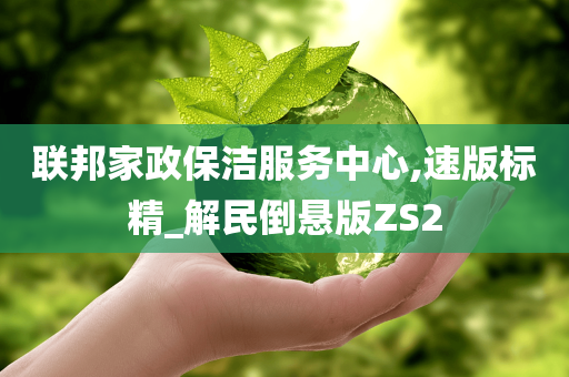 联邦家政保洁服务中心,速版标精_解民倒悬版ZS2