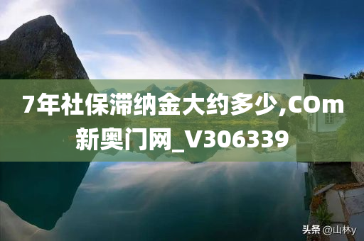 7年社保滞纳金大约多少,COm新奥门网_V306339