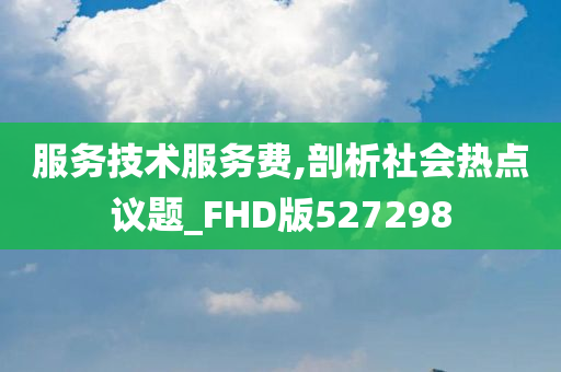 服务技术服务费,剖析社会热点议题_FHD版527298