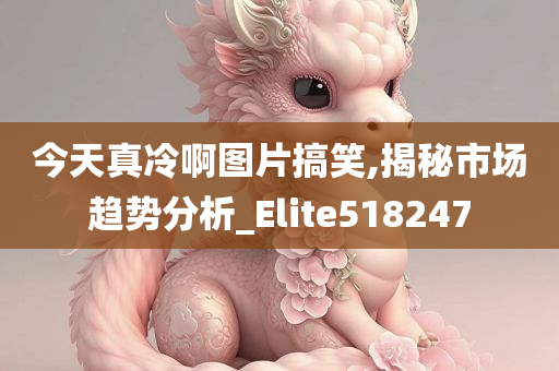 今天真冷啊图片搞笑,揭秘市场趋势分析_Elite518247