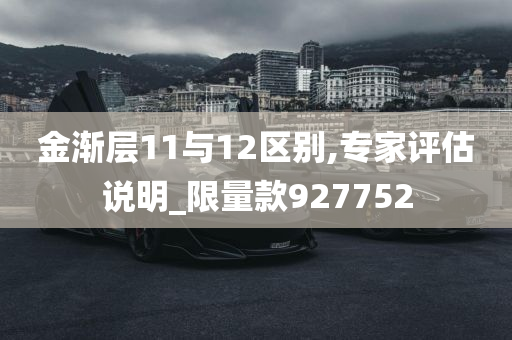 金渐层11与12区别,专家评估说明_限量款927752