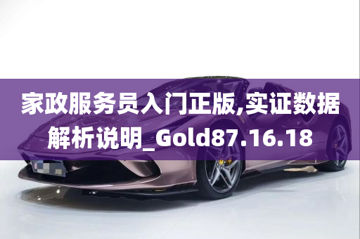 家政服务员入门正版,实证数据解析说明_Gold87.16.18