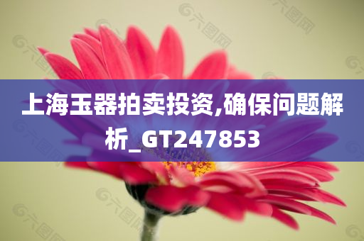 上海玉器拍卖投资,确保问题解析_GT247853