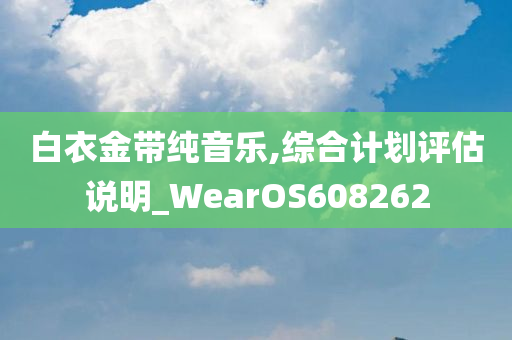 白衣金带纯音乐,综合计划评估说明_WearOS608262