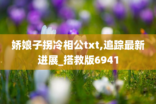 娇娘子拐冷相公txt,追踪最新进展_搭救版6941