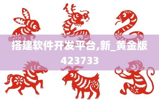 搭建软件开发平台,新_黄金版423733