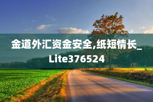 金道外汇资金安全,纸短情长_Lite376524