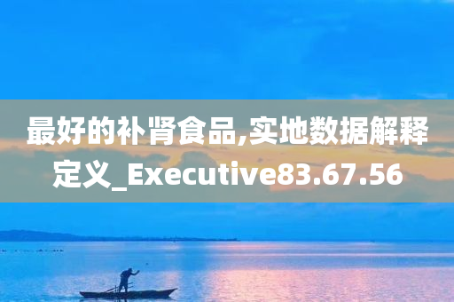 最好的补肾食品,实地数据解释定义_Executive83.67.56