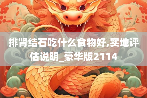 排肾结石吃什么食物好,实地评估说明_豪华版2114