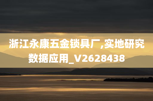 浙江永康五金锁具厂,实地研究数据应用_V2628438