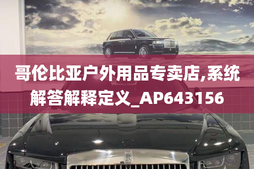 哥伦比亚户外用品专卖店,系统解答解释定义_AP643156