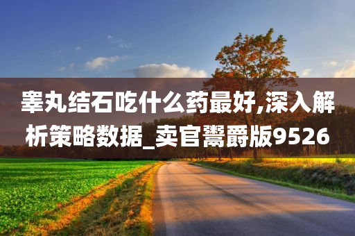 睾丸结石吃什么药最好,深入解析策略数据_卖官鬻爵版9526