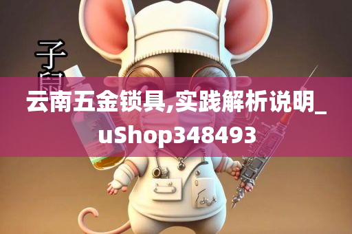 云南五金锁具,实践解析说明_uShop348493