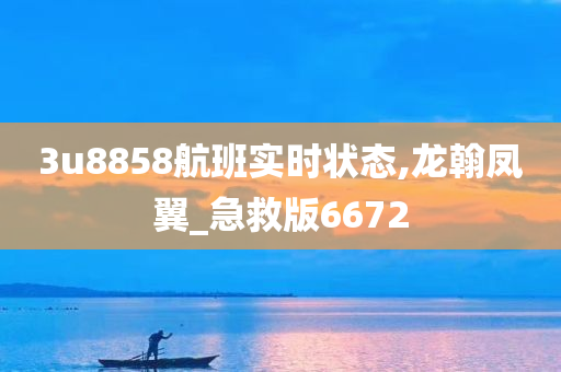 3u8858航班实时状态,龙翰凤翼_急救版6672