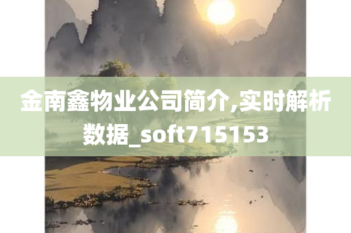 金南鑫物业公司简介,实时解析数据_soft715153