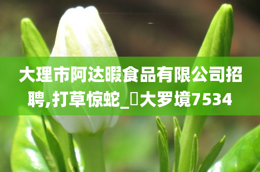 大理市阿达暇食品有限公司招聘,打草惊蛇_‌大罗境7534