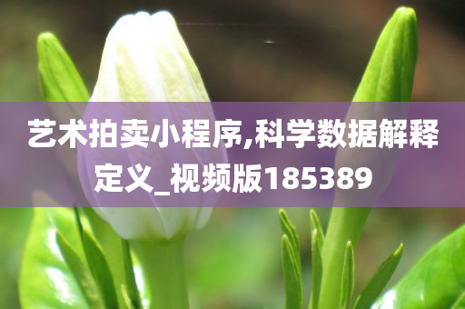 艺术拍卖小程序,科学数据解释定义_视频版185389