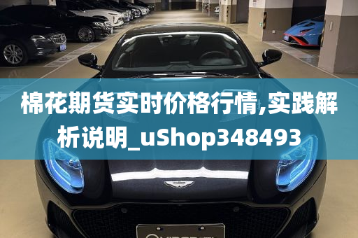 棉花期货实时价格行情,实践解析说明_uShop348493