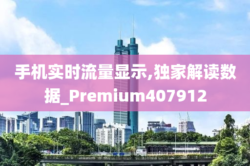 手机实时流量显示,独家解读数据_Premium407912