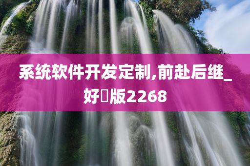 系统软件开发定制,前赴后继_好翫版2268