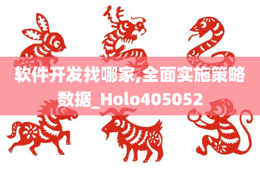 软件开发找哪家,全面实施策略数据_Holo405052