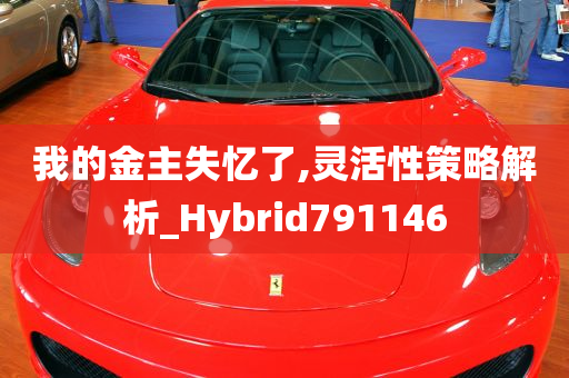 我的金主失忆了,灵活性策略解析_Hybrid791146