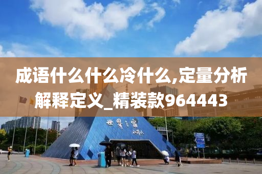 成语什么什么冷什么,定量分析解释定义_精装款964443