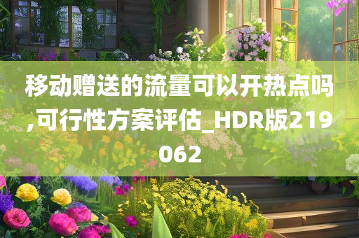 移动赠送的流量可以开热点吗,可行性方案评估_HDR版219062