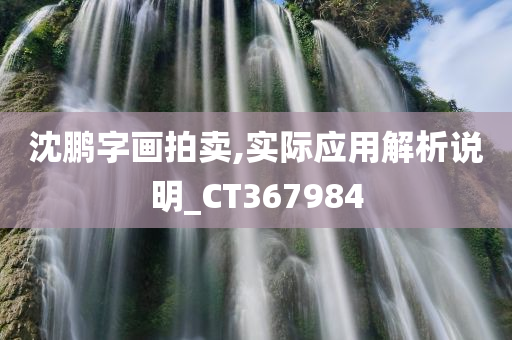 沈鹏字画拍卖,实际应用解析说明_CT367984