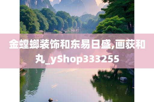 金螳螂装饰和东易日盛,画荻和丸_yShop333255