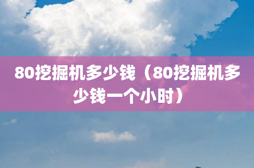 80挖掘机多少钱（80挖掘机多少钱一个小时）