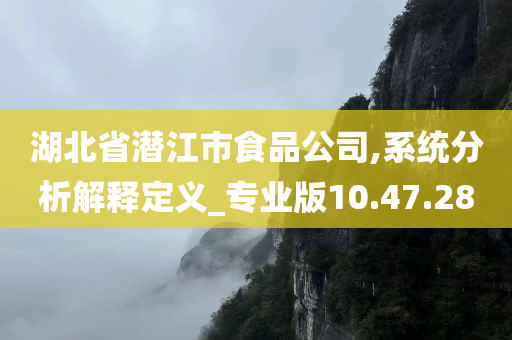 湖北省潜江市食品公司,系统分析解释定义_专业版10.47.28