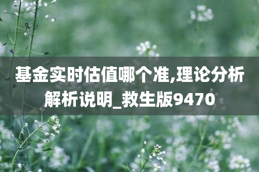 基金实时估值哪个准,理论分析解析说明_救生版9470