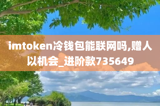 imtoken冷钱包能联网吗,赠人以机会_进阶款735649