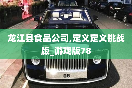 龙江县食品公司,定义定义挑战版_游戏版78