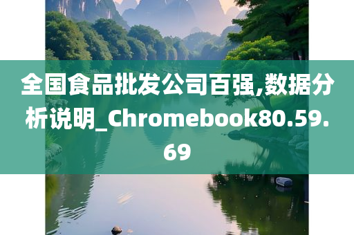 全国食品批发公司百强,数据分析说明_Chromebook80.59.69