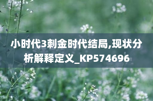 小时代3刺金时代结局,现状分析解释定义_KP574696