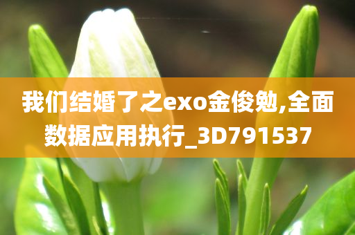 我们结婚了之exo金俊勉,全面数据应用执行_3D791537