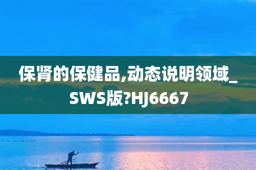 保肾的保健品,动态说明领域_SWS版?HJ6667