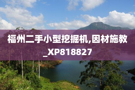 福州二手小型挖掘机,因材施教_XP818827