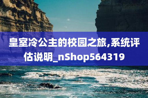 皇室冷公主的校园之旅,系统评估说明_nShop564319