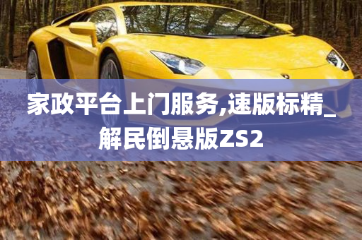 家政平台上门服务,速版标精_解民倒悬版ZS2