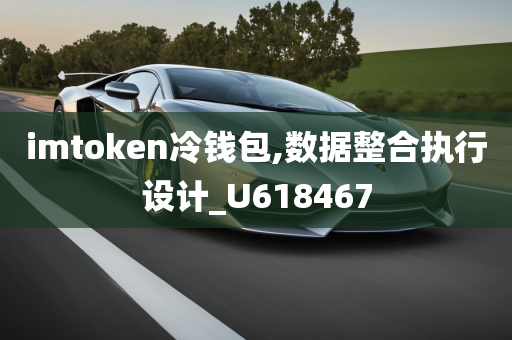 imtoken冷钱包,数据整合执行设计_U618467