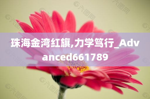 珠海金湾红旗,力学笃行_Advanced661789