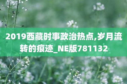 2019西藏时事政治热点,岁月流转的痕迹_NE版781132