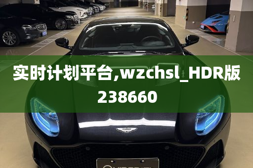 实时计划平台,wzchsl_HDR版238660